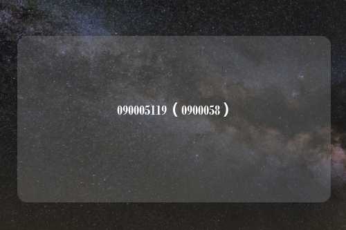 090005119（0900058）