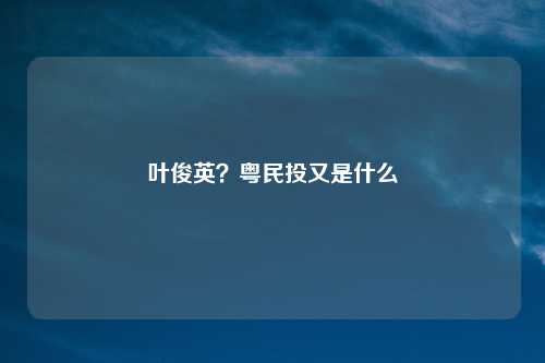 叶俊英？粤民投又是什么