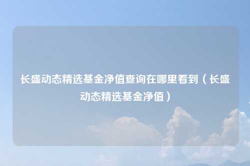 长盛动态精选基金净值查询在哪里看到（长盛动态精选基金净值）