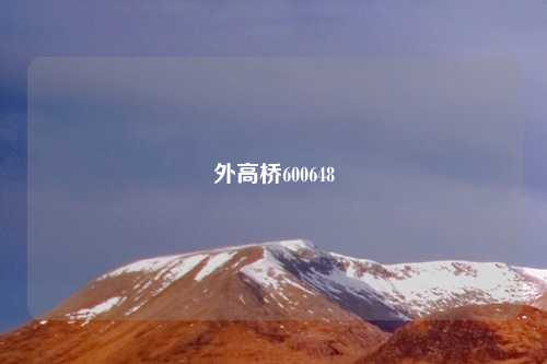 外高桥600648