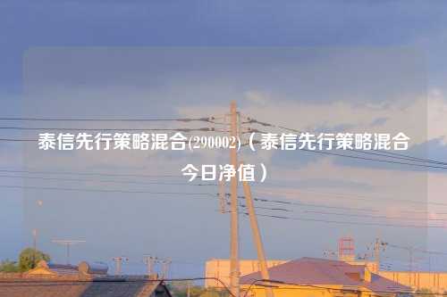 泰信先行策略混合(290002)(泰信先行策略混合今日净值)