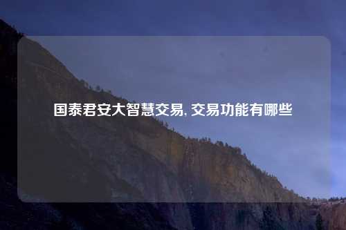 国泰君安大智慧交易, 交易功能有哪些