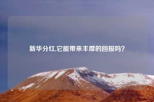 新华分红,它能带来丰厚的回报吗？
