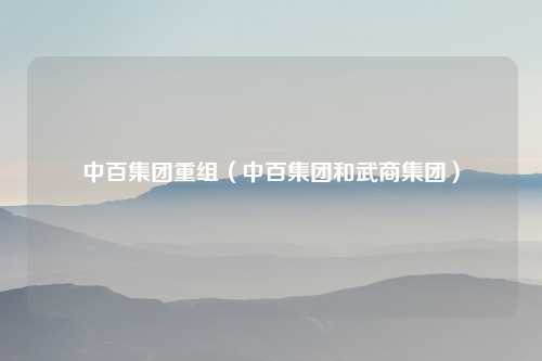 中百集团重组（中百集团和武商集团）