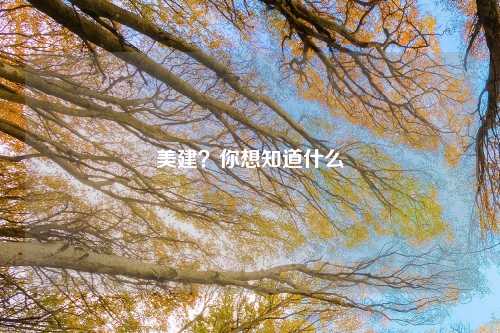 美建?你想知道什么