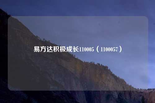 易方达积极成长110005(1100057)