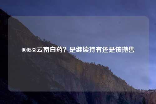 000538云南白药?是继续持有还是该抛售
