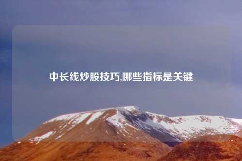 中长线炒股技巧,哪些指标是关键