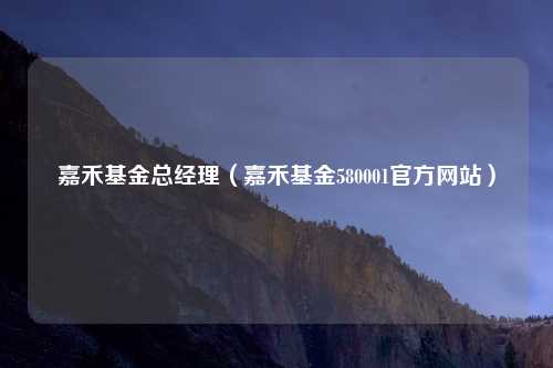 嘉禾基金总经理(嘉禾基金580001官方网站)