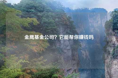 金鹰基金公司?它能帮你赚钱吗