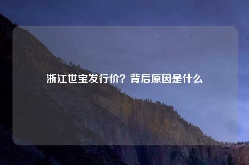 浙江世宝发行价?背后原因是什么