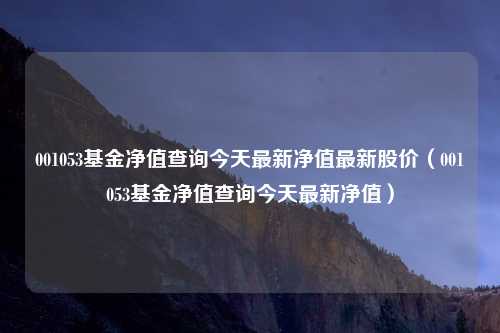 001053基金净值查询今天最新净值最新股价(001053基金净值查询今天最新净值)