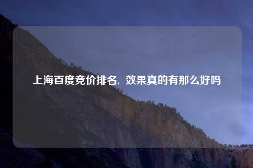 上海百度竞价排名, 效果真的有那么好吗
