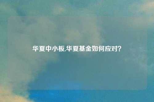 华夏中小板,华夏基金如何应对?