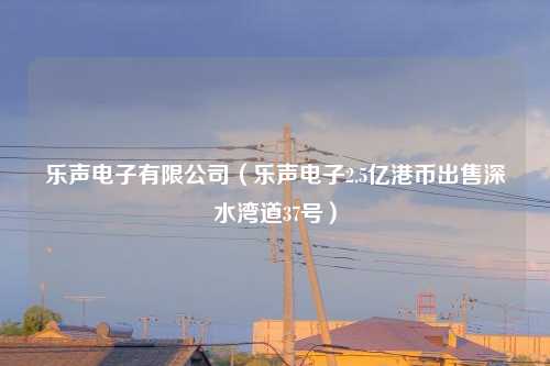 乐声电子有限公司(乐声电子2.5亿港币出售深水湾道37号)