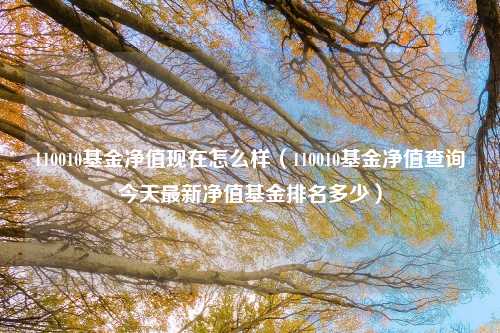110010基金净值现在怎么样(110010基金净值查询今天最新净值基金排名多少)