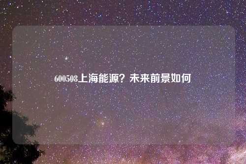 600508上海能源?未来前景如何