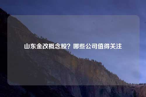 山东金改概念股?哪些公司值得关注