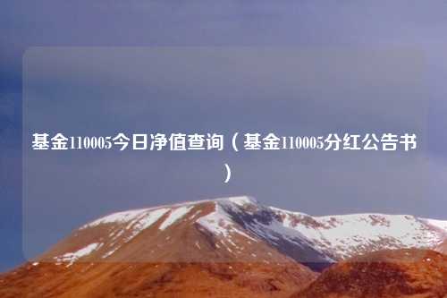 基金110005今日净值查询(基金110005分红公告书)
