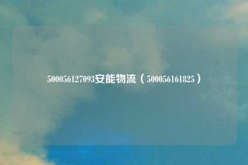 500056127093安能物流(500056161825)