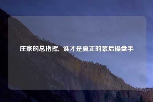 庄家的总指挥, 谁才是真正的幕后操盘手