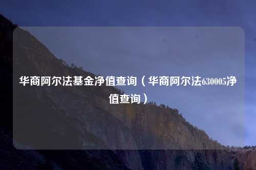 华商阿尔法基金净值查询(华商阿尔法630005净值查询)