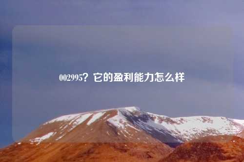 002995?它的盈利能力怎么样