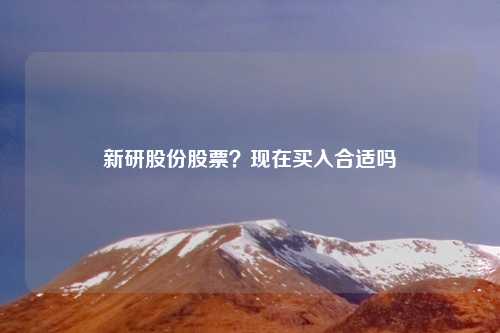 新研股份股票?现在买入合适吗
