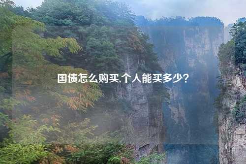 国债怎么购买,个人能买多少?