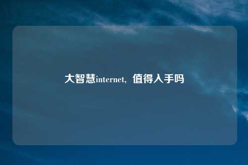 大智慧internet, 值得入手吗
