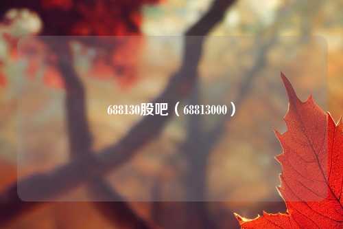 688130股吧(68813000)