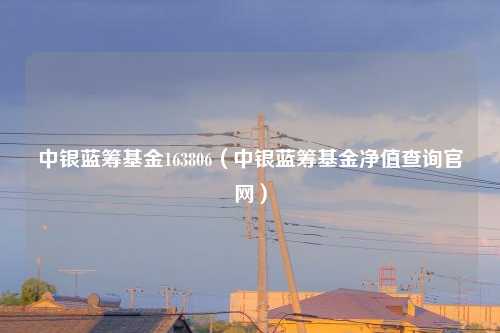 中银蓝筹基金163806(中银蓝筹基金净值查询官网)
