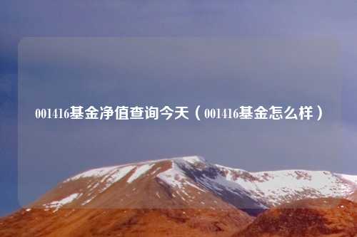 001416基金净值查询今天(001416基金怎么样)