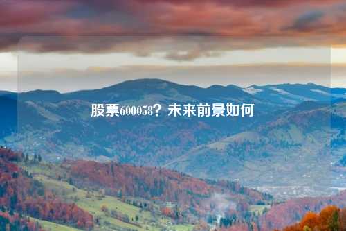 股票600058?未来前景如何