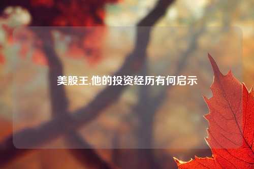美股王,他的投资经历有何启示