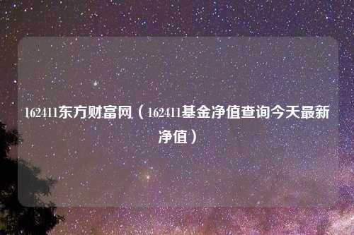 162411东方财富网(162411基金净值查询今天最新净值)