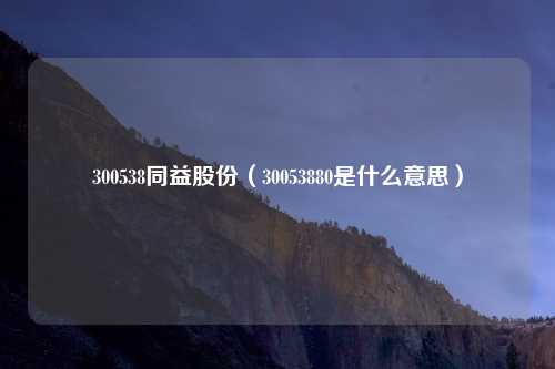 300538同益股份（30053880是什么意思）