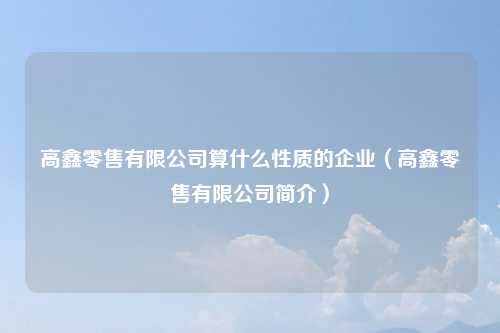 高鑫零售有限公司算什么性质的企业（高鑫零售有限公司简介）