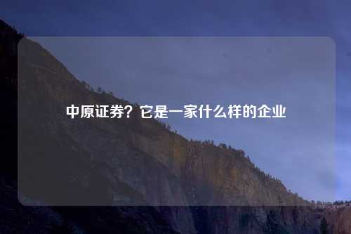 中原证券？它是一家什么样的企业