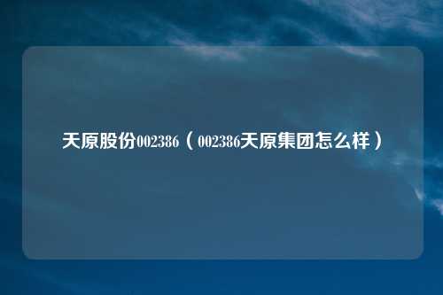 天原股份002386（002386天原集团怎么样）