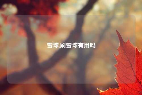 雪球,刷雪球有用吗