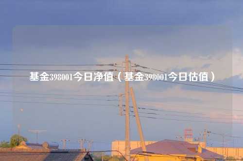 基金398001今日净值(基金398001今日估值)