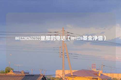 0012202657577是那的电话（001220基金净值）