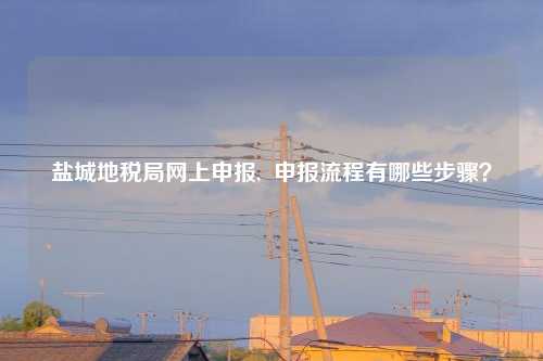 盐城地税局网上申报, 申报流程有哪些步骤?