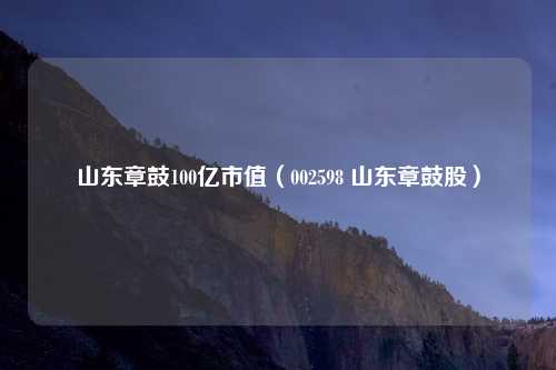 山东章鼓100亿市值（002598 山东章鼓股）