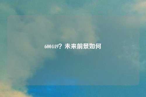 600449？未来前景如何