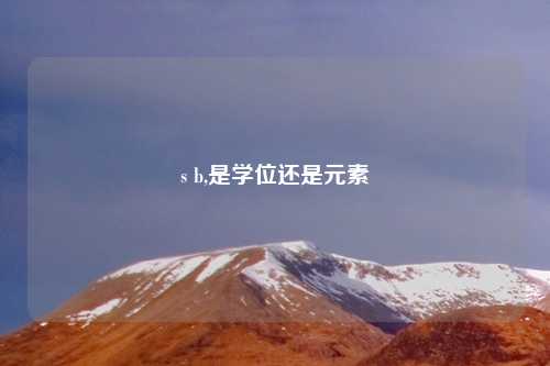 s b,是学位还是元素