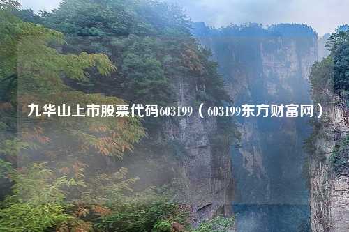 九华山上市股票代码603199（603199东方财富网）