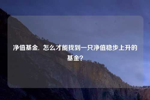 净值基金,  怎么才能找到一只净值稳步上升的基金？