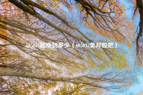 605033能涨到多少（605033美邦股吧）